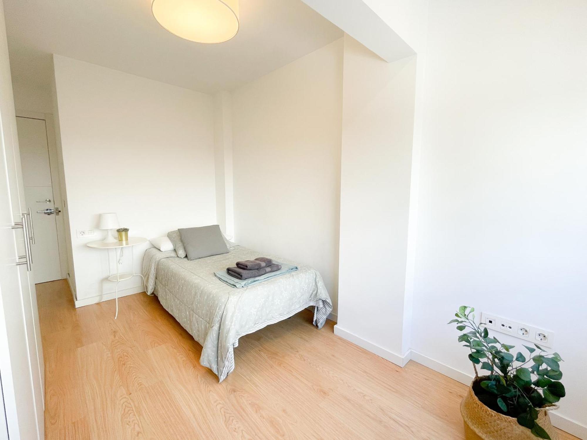 Moderno Apartamento Plz De La Merced Малага Екстер'єр фото